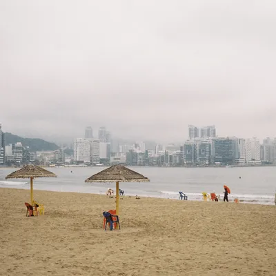 A beach with parasols and chairs on the sand in front of the sea in Busan on a foggy day