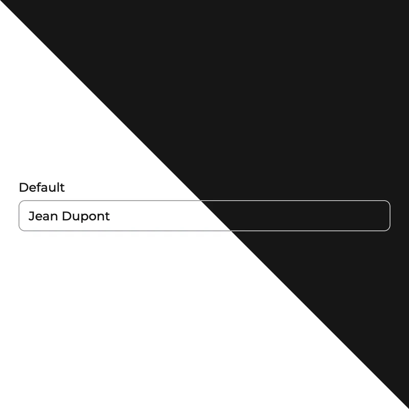 A screenshot of a text input from the pass Culture design system