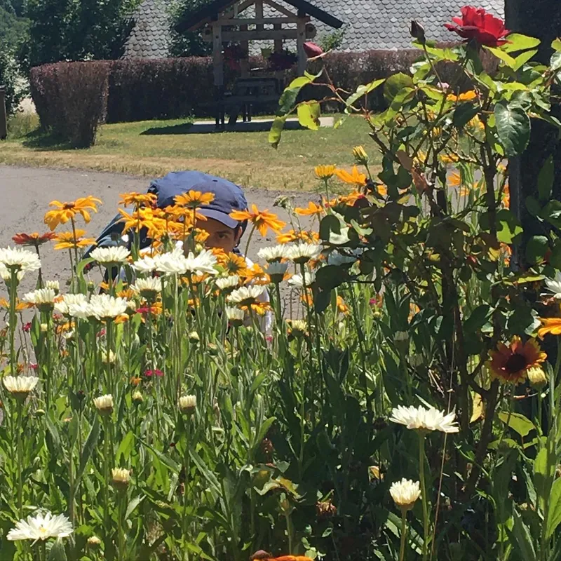 A person peeking through a colourful flower bed of daisies and sunflowers