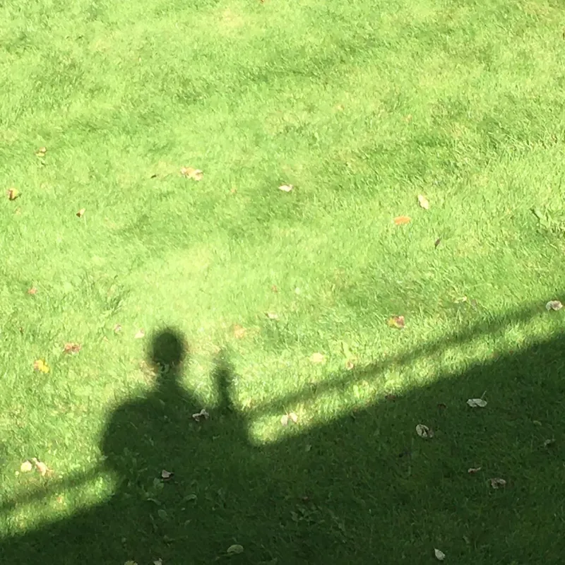 A person's shadow cast on bright green grass