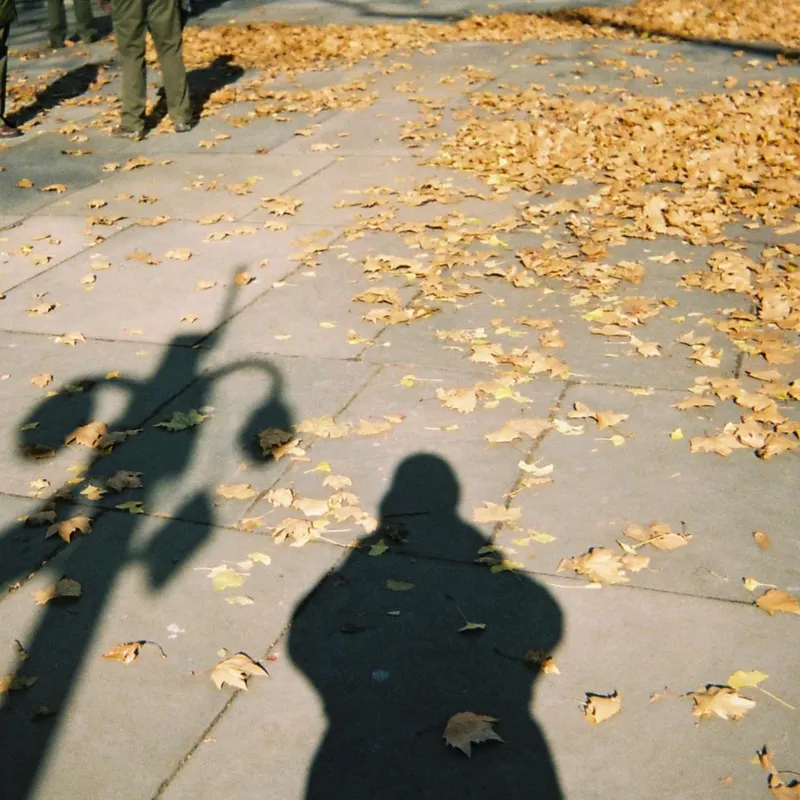 Photographer's shadow and a lamppost shadow cast on a leaf-covered autumn sidewalk