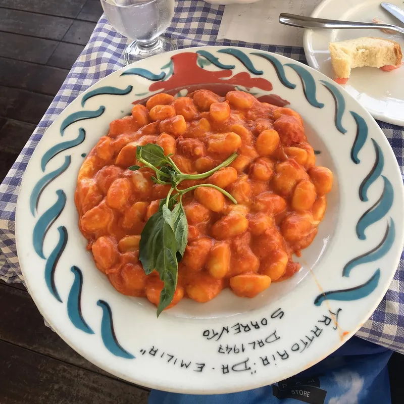 A plate of gnocchi in tomato sauce with fresh basil