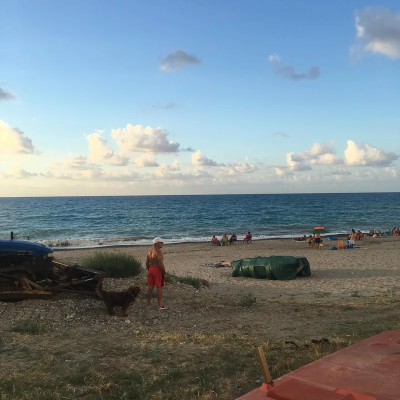 A man with a dog on a beach at dusk