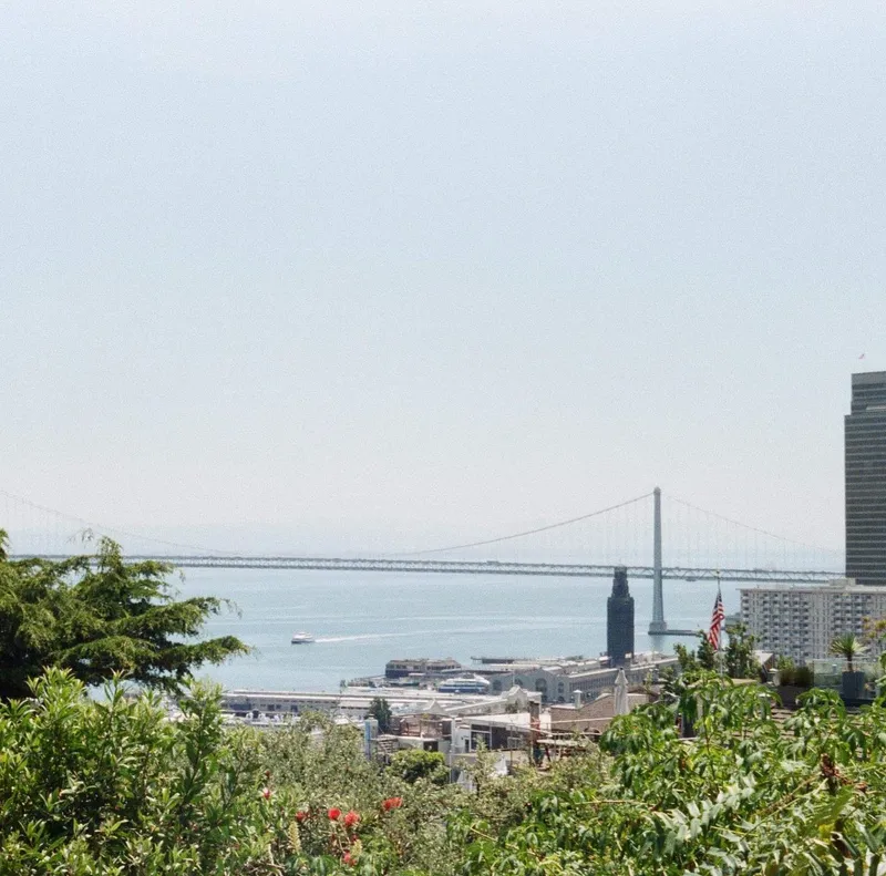 The Bay Bridge and San Francisco waterfront seen through green treetops