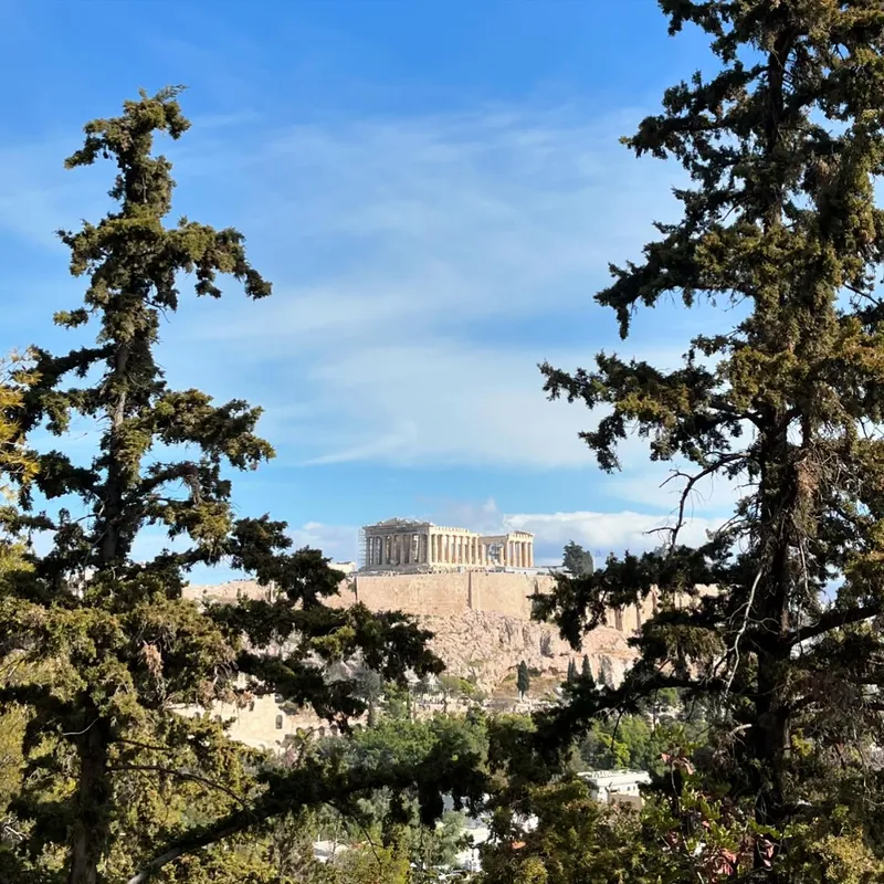 The Acropolis and Parthenon seen through pine trees against a blue sky