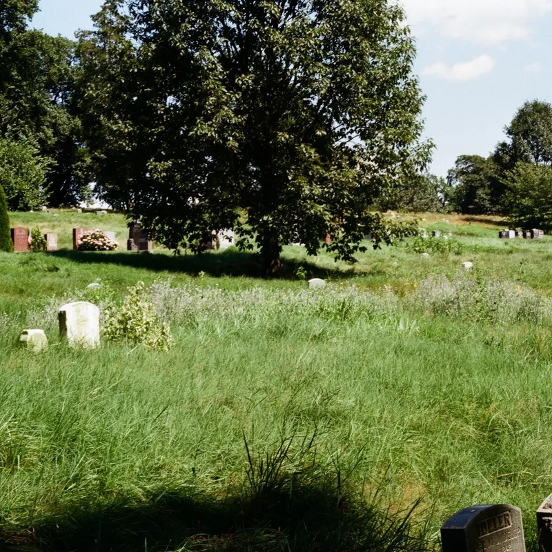An overgrown cemetery with tall grass and old gravestones